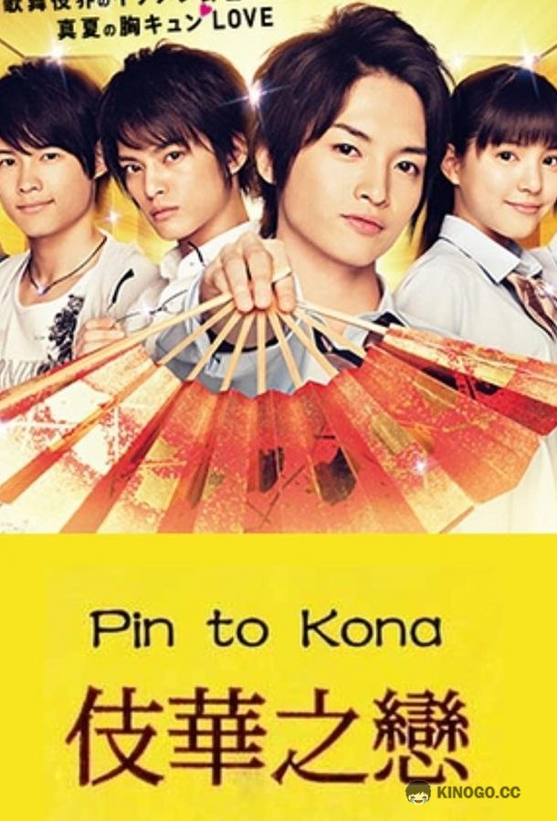 Булавки и пудра Pintokona (2013)