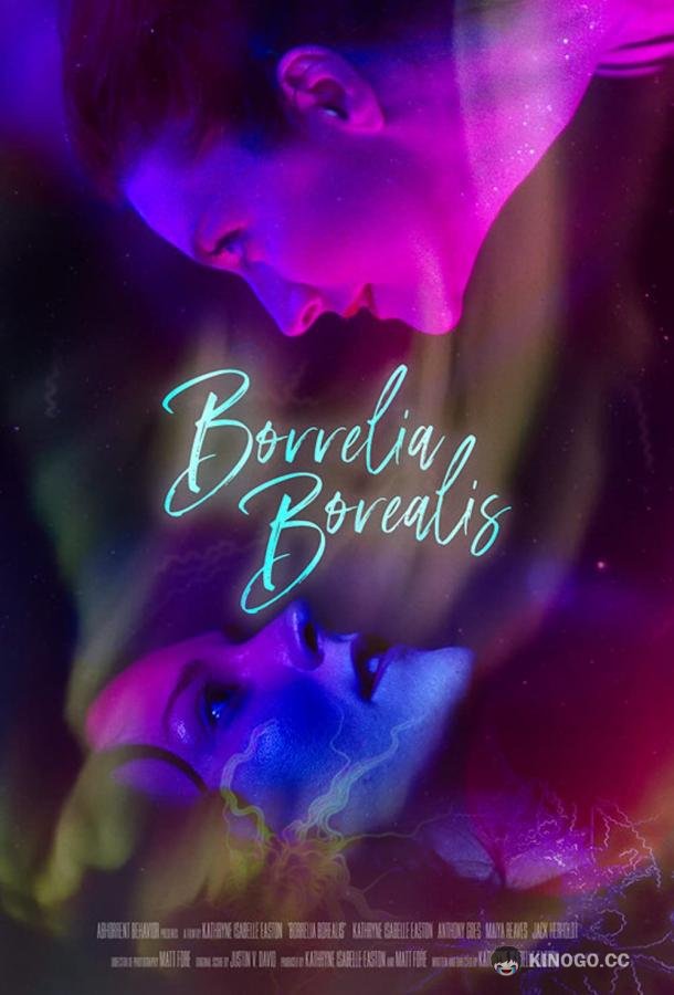 Боррелии Бореалис Borrelia Borealis (2021)