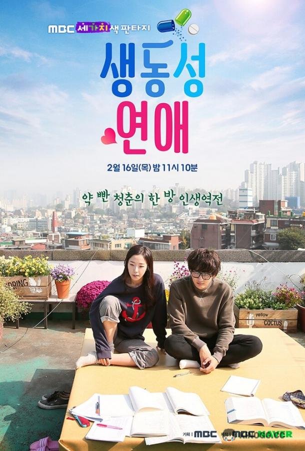 Яркая романтика Saengdongsung yeonae (2017)