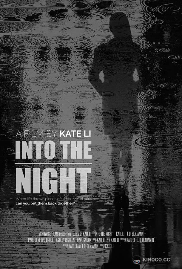 В ночи Into the Night (2019)