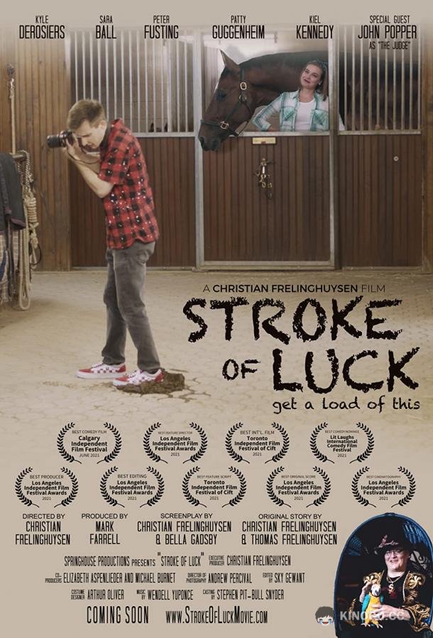 Подарок судьбы Stroke of Luck (2022)