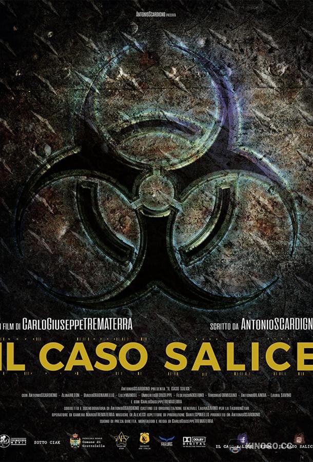 Дело Саличе Il caso Salice (2020)
