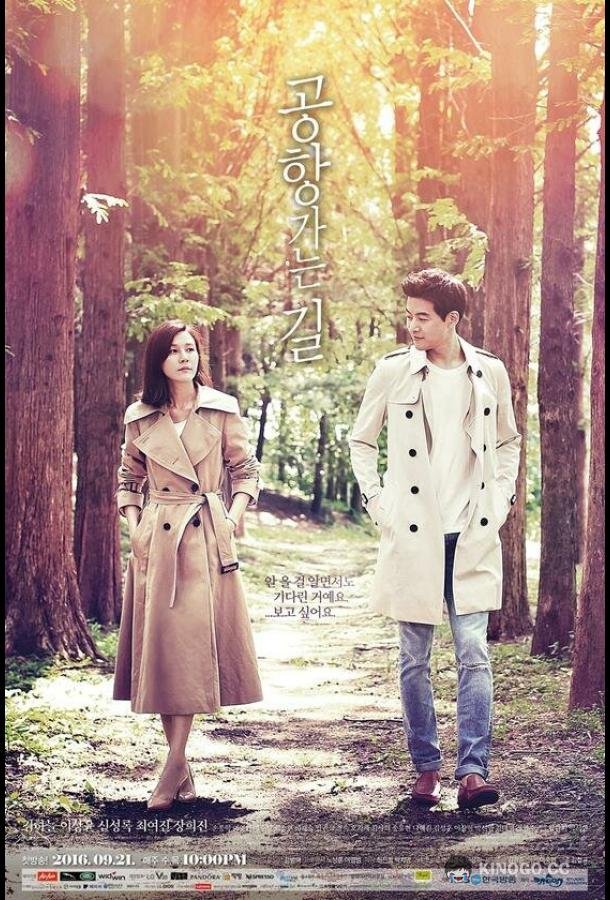 По пути в аэропорт Gonghang ganeun gil (2016)