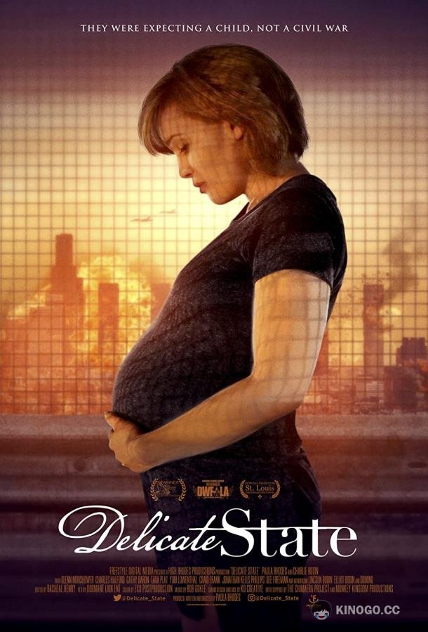 Щекотливое положение Delicate State (2021)
