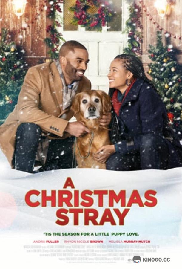 Рождественская дворняжка A Christmas Stray (2021)