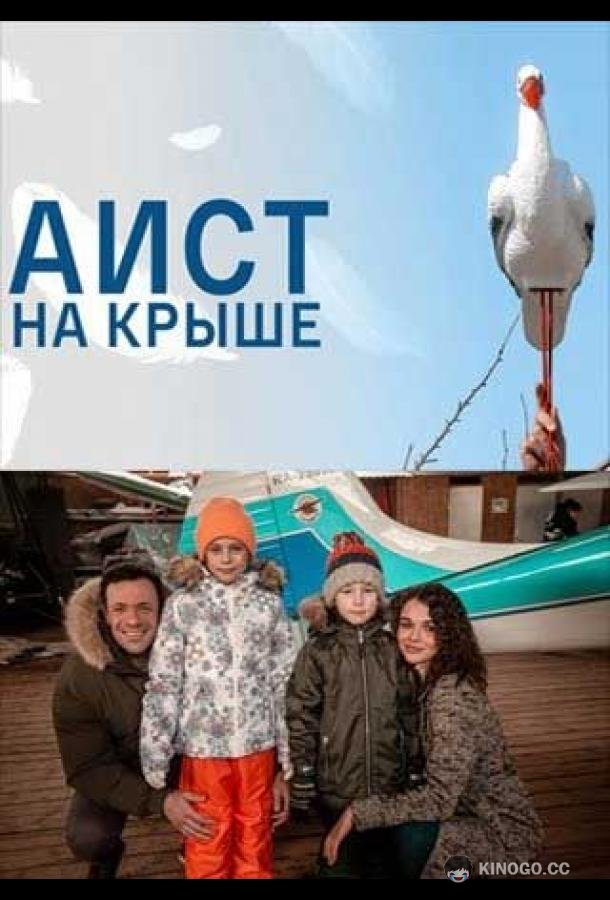 Аист на крыше  (2021)