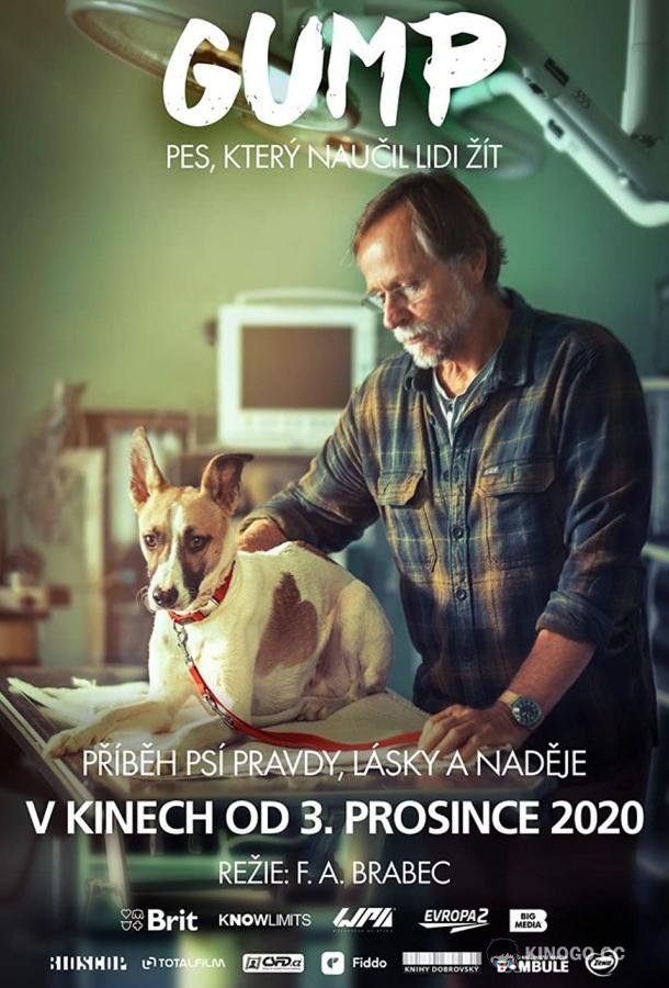 Гамп — пёс, который научил людей жить Gump - pes, který naucil lidi zít (2021)