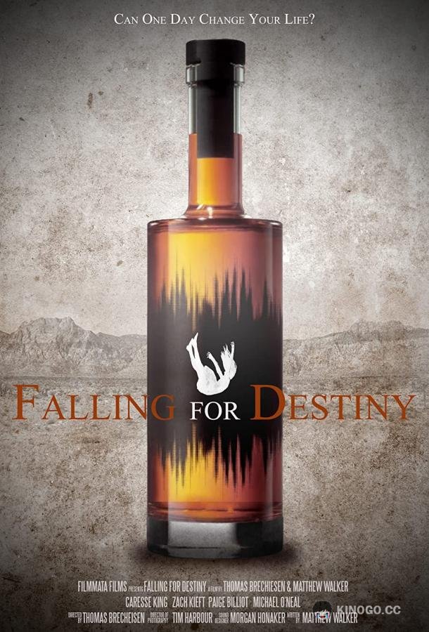 Судьба покажет Falling for Destiny (2020)