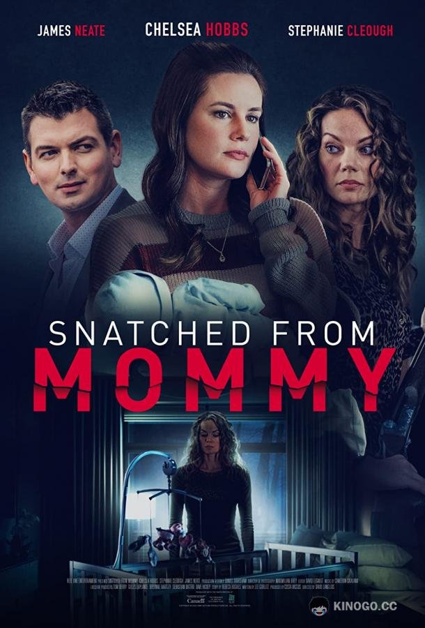 Ярость матери Snatched from Mommy (2021)