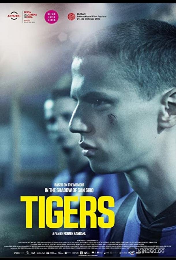 Тигры Tigers (2020)
