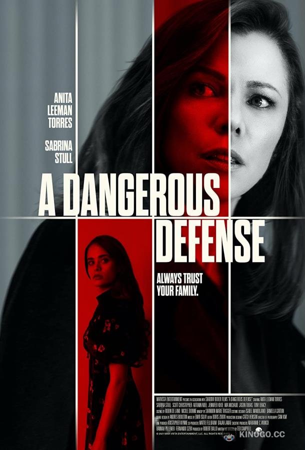 Смертельная тайна её семьи A Dangerous Defense (2021)