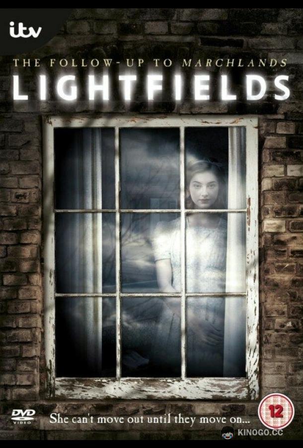 Свет и тень Lightfields (2013)