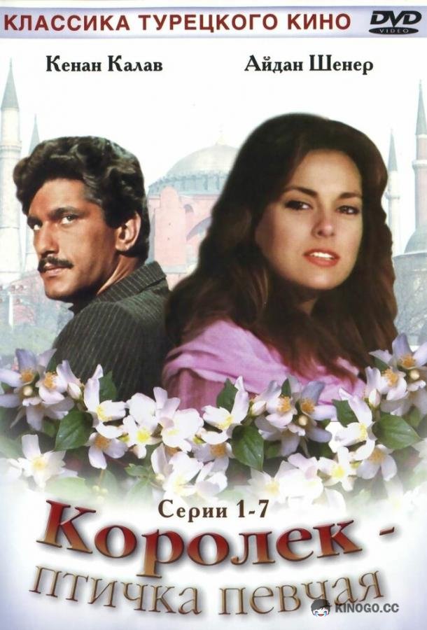 Королёк — птичка певчая Çalikusu (1986)