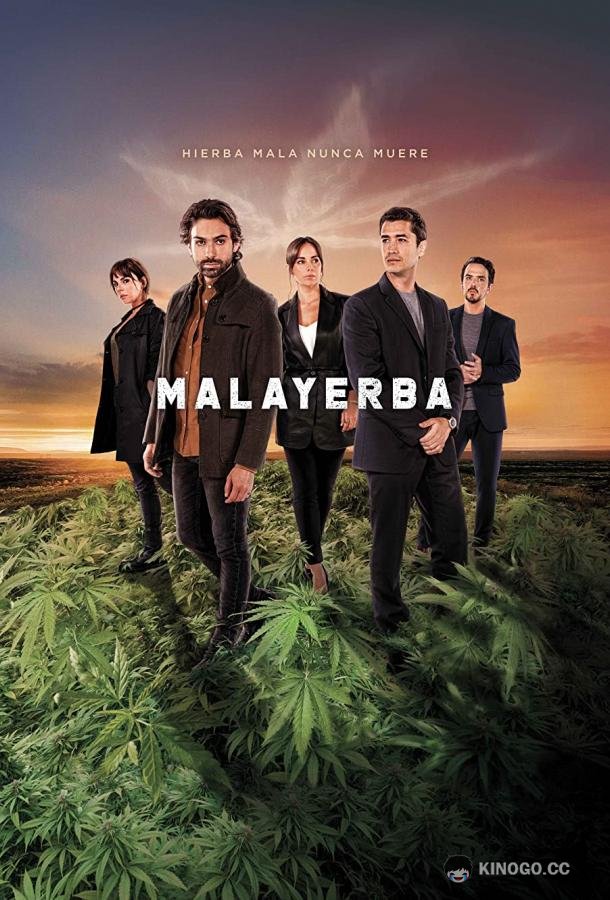 Дурная трава MalaYerba (2021)