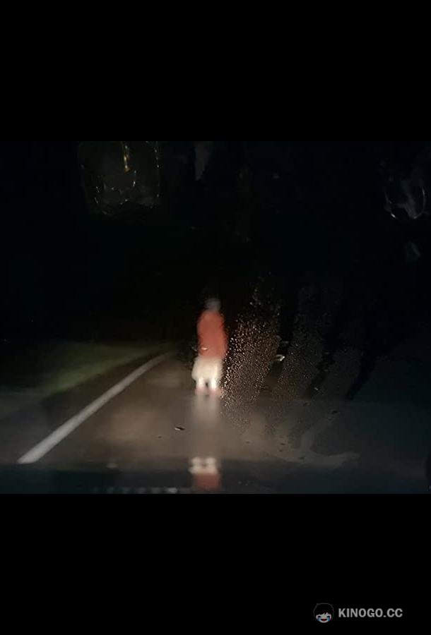 Регистратор Dashcam (2021)