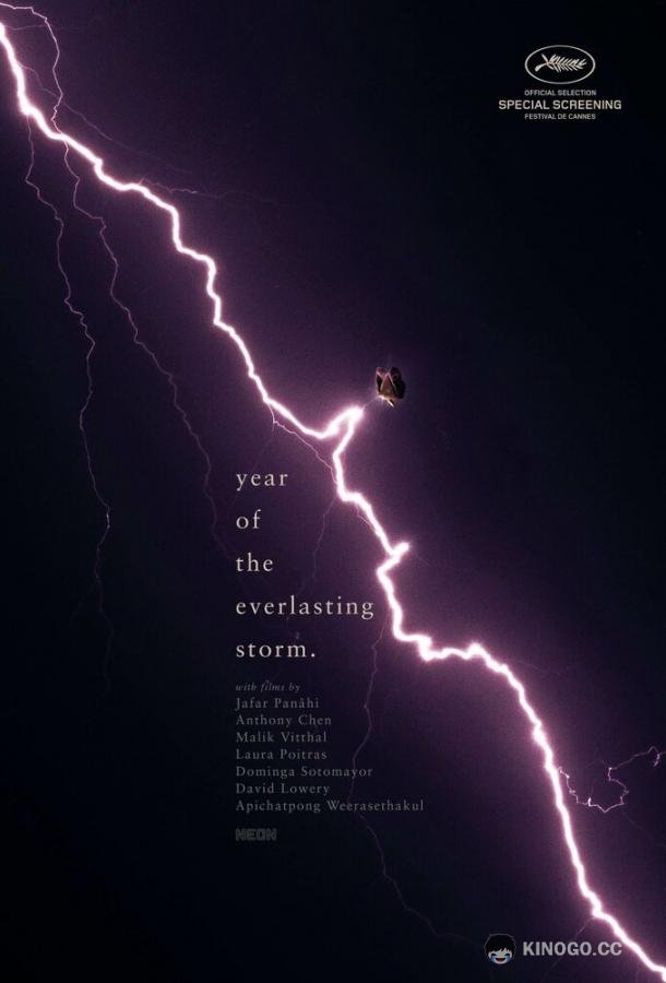 Год вечной бури The Year of the Everlasting Storm (2021)