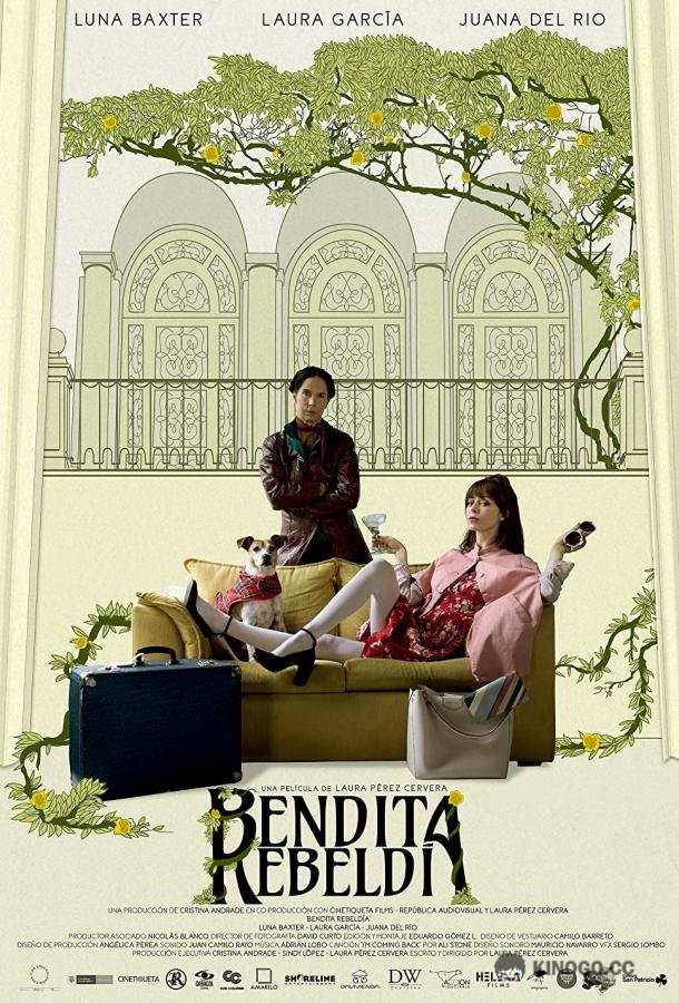 Внезапное озарение Bendita Rebeldía (2020)