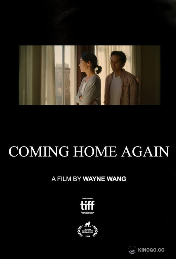 Снова возвращаясь домой Coming Home Again (2019)