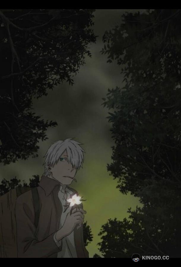 Мастер Муси: Тень, пожирающая солнце Mushishi Tokubetsu-hen: Hihamukage (2014)