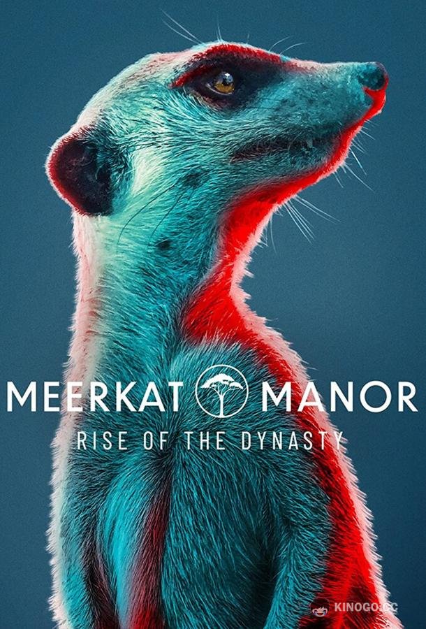 Усадьба сурикатов: Расцвет династии Meerkat Manor: Rise of the Dynasty (2021)