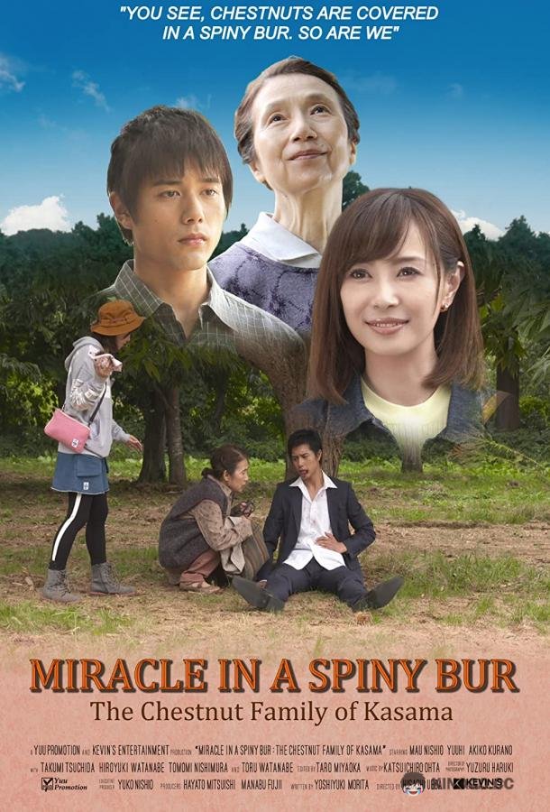 Чудо в Колючем Бору: Каштановая Семья из Касамы Miracle in a Spiny Bur: The Chestnut Family of Kasama (2018)