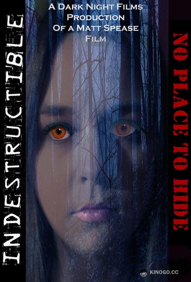 Неуязвимый: Негде спрятаться Indestructible: No Place to Hide (2020)