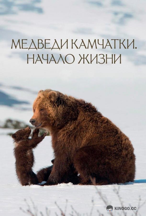 Медведи Камчатки. Начало жизни  (2018)