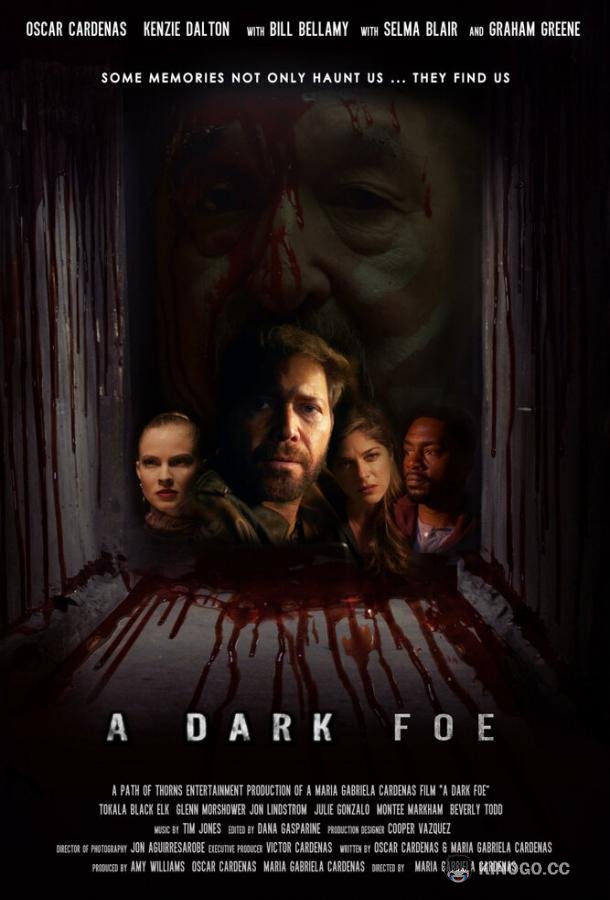 Тёмный враг A Dark Foe (2020)