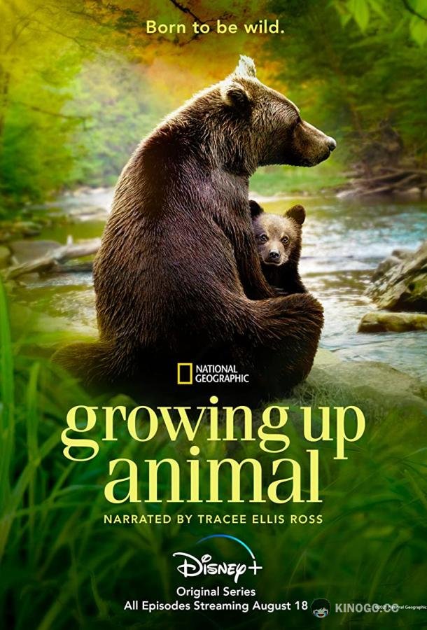Взрослеющее животное Growing Up Animal (2021)