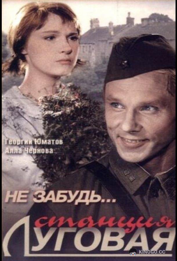 Не забудь... станция Луговая  (1966)