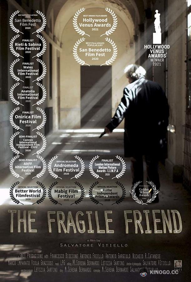 Ранимый друг The Fragile Friend (2016)
