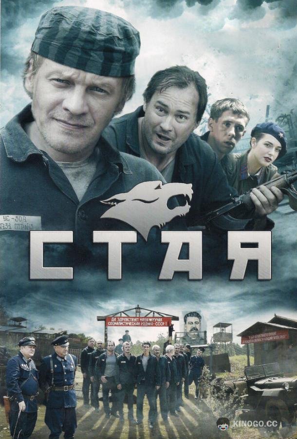 Стая  (2009)