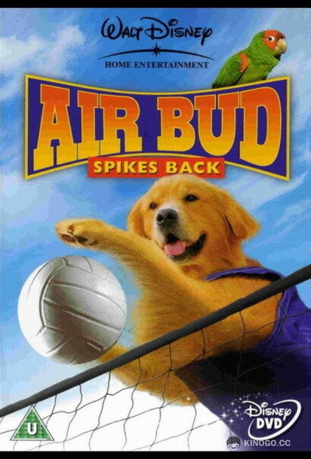 Король воздуха: Возвращение Air Bud: Spikes Back (2003)