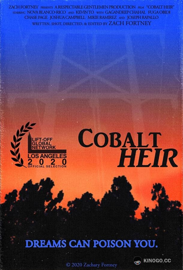 Наследник кобальта Cobalt Heir (2020)