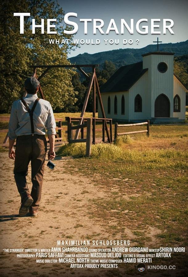 Когда привела домой незнакомца The Stranger (2020)