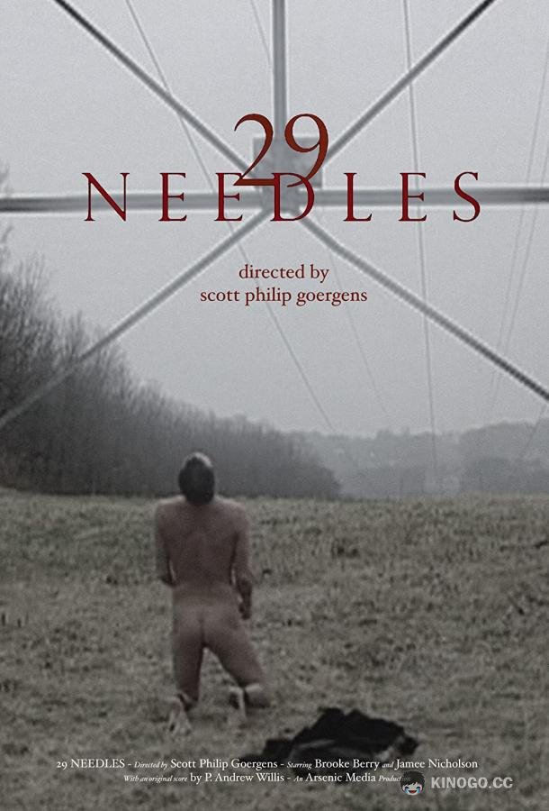 29 игл 29 Needles (2019)