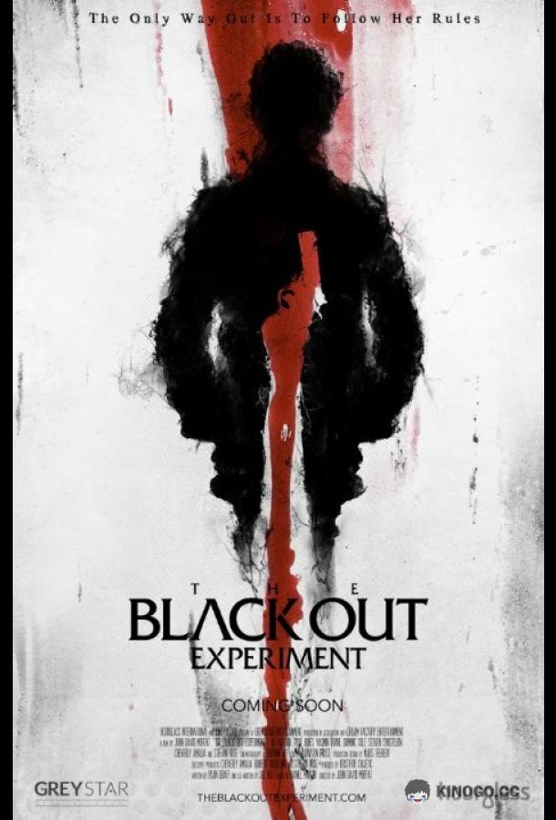Эксперимент &quot;Тьма&quot; The Blackout Experiment (2014)