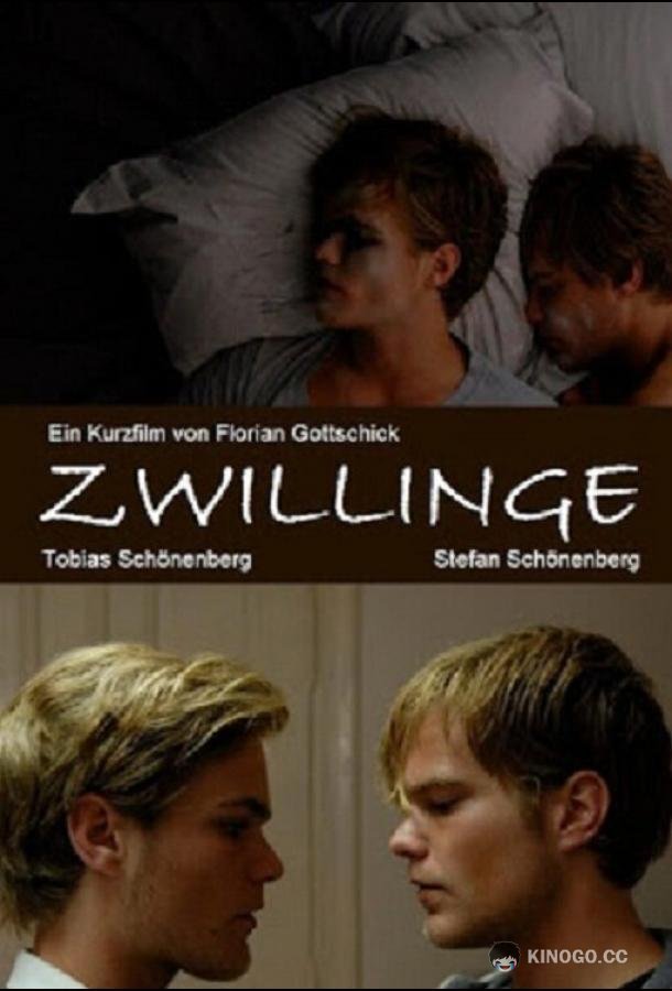 Близнецы Zwillinge (2010)