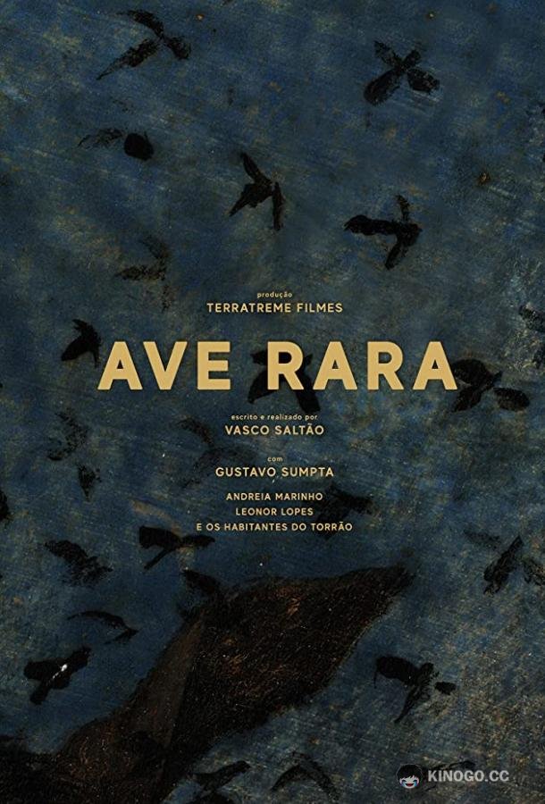 Редкая птица Ave Rara (2019)