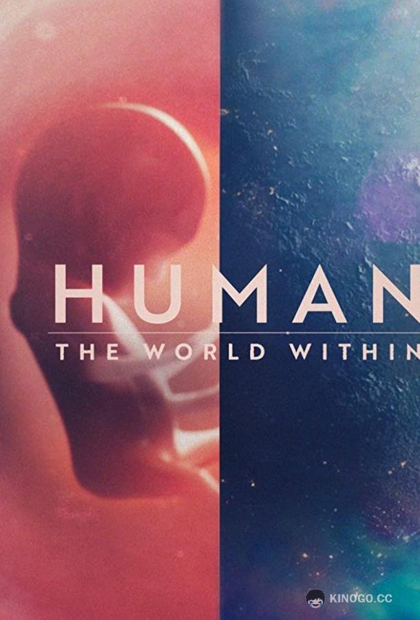 Человеческое тело: мир внутри Human: The World Within (2021)