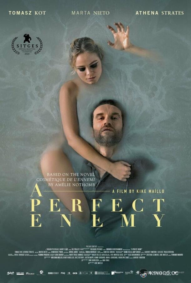 Идеальный враг A Perfect Enemy (2020)