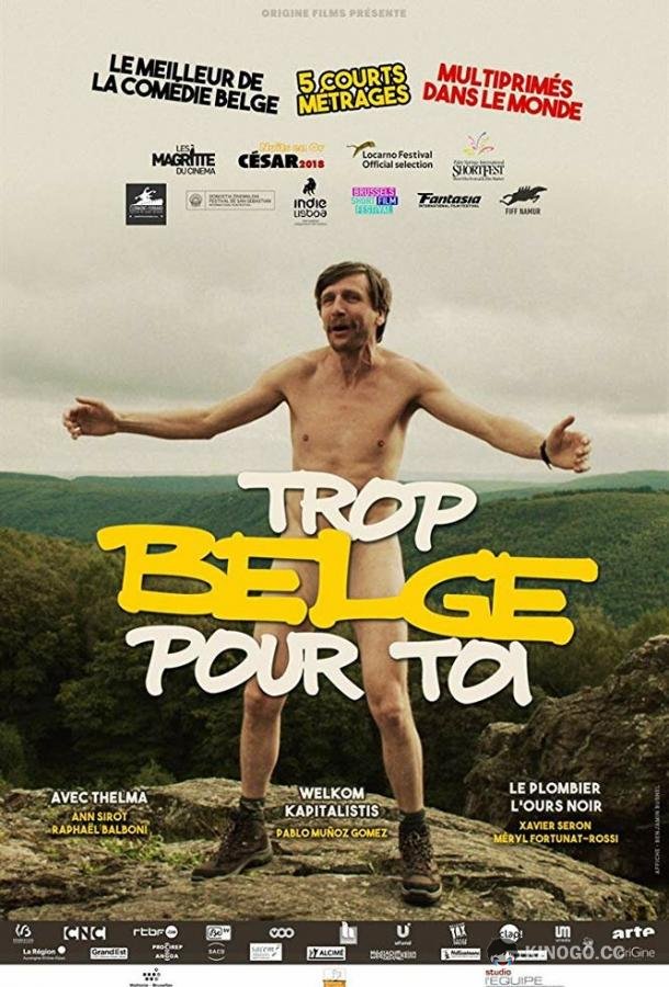 Слишком бельгиец для тебя Trop belge pour toi (2019)