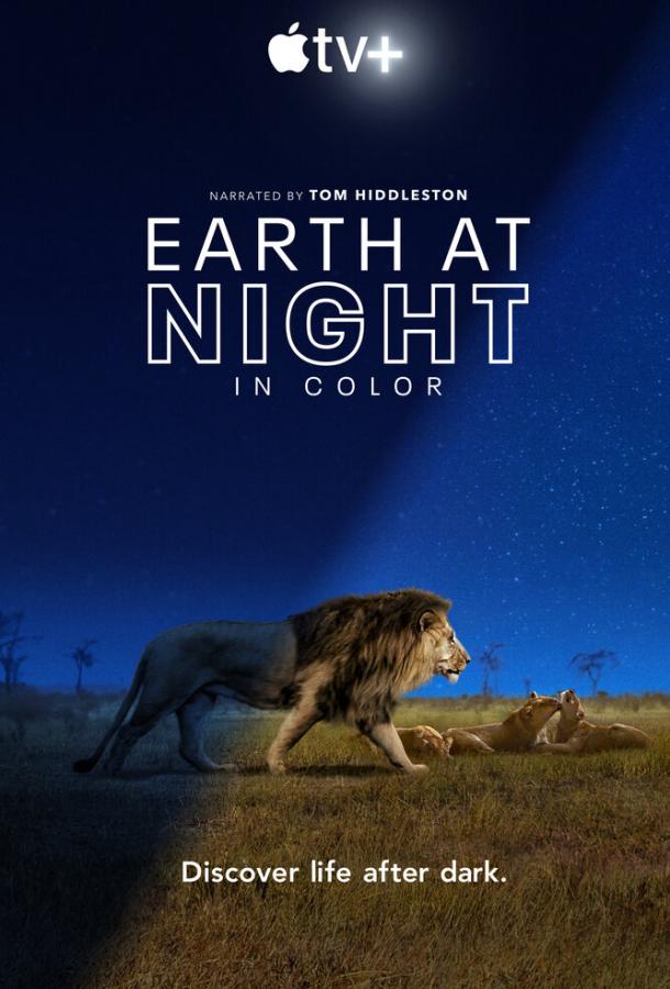 Земля ночью в цвете Earth at Night in Color (2020)