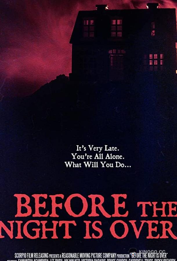 Пока не кончилась ночь Before the Night Is Over (2020)