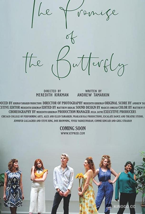 Обещание бабочки The Promise of the Butterfly (2019)