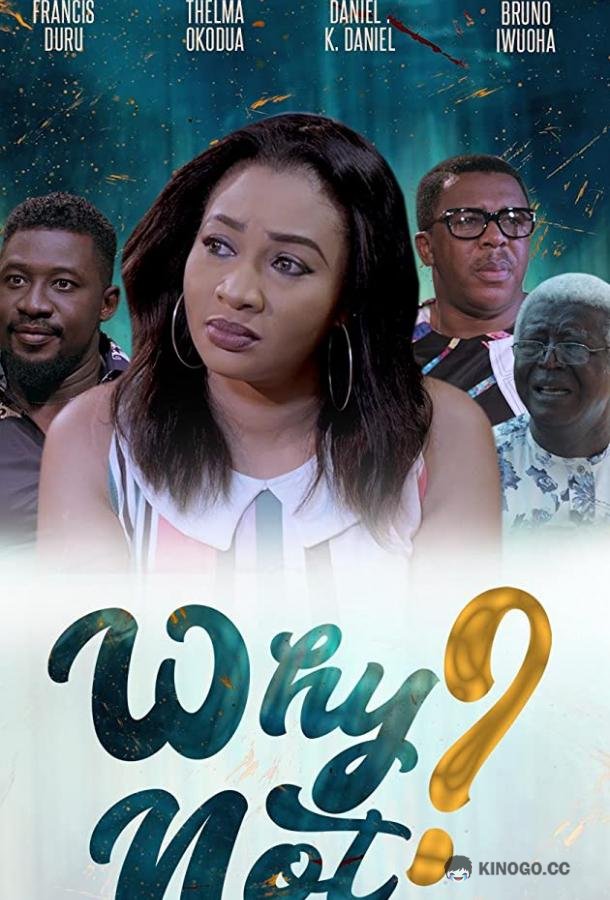 Почему нет? Why Not? (2019)
