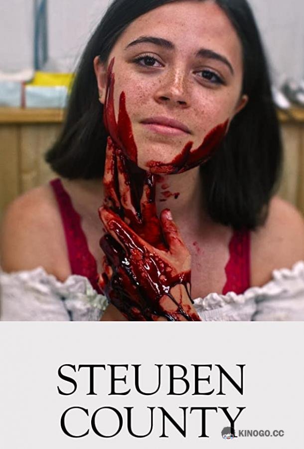 Округ Стюбен Steuben County (2020)