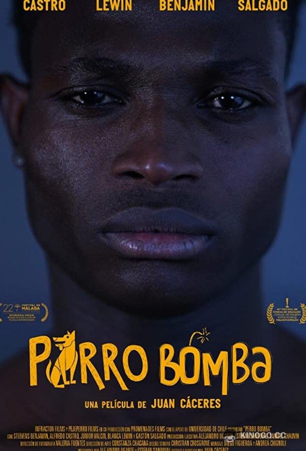 Собака-Бомба Perro Bomba (2019)