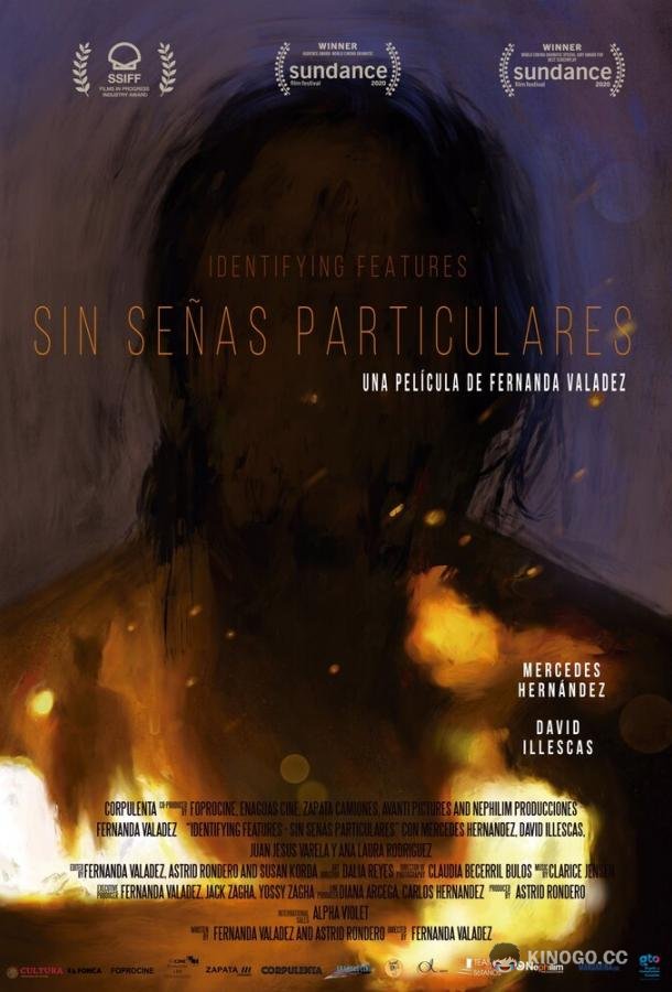 Без особых примет Sin señas particulares (2020)