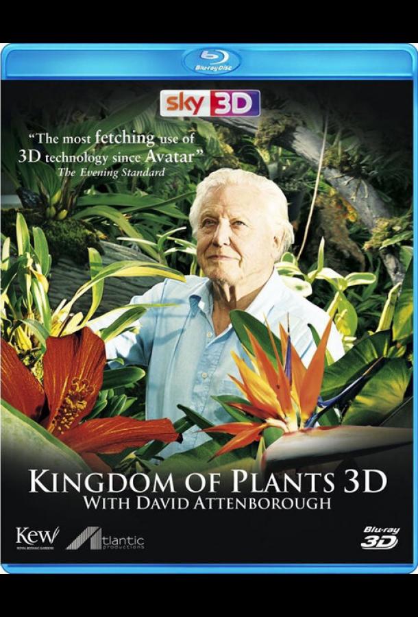 В королевстве растений Kingdom of Plants 3D (2012)